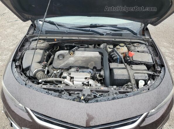 1G1ZE5ST4GF359560 2016 CHEVROLET MALIBU Бордовый Вид задней части салона