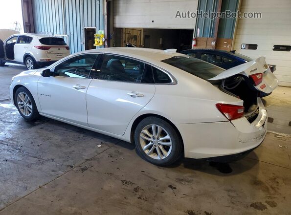 1G1ZE5ST5HF202170 2017 CHEVROLET MALIBU White Задня ліва чверть