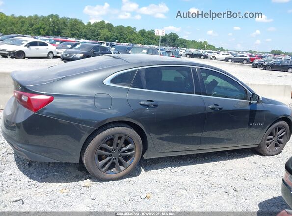 1G1ZE5ST8HF146774 2017 CHEVROLET MALIBU Gray Սալոնի հետևի տեսք