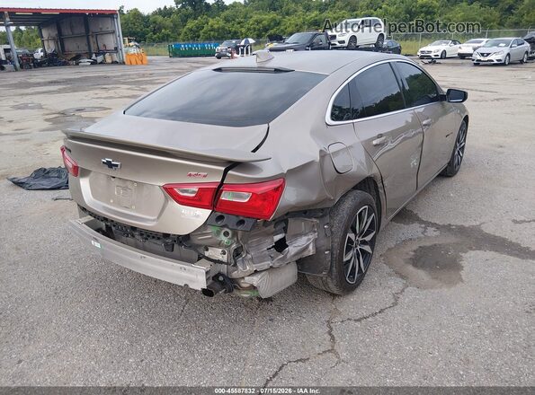 1G1ZG5ST0RF178131 2024 CHEVROLET MALIBU Champagne Задня права чверть