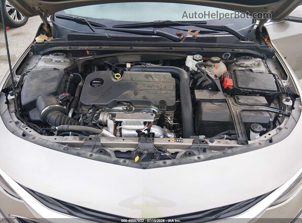 1G1ZG5ST0RF178131 2024 CHEVROLET MALIBU Champagne Вид ззаду
