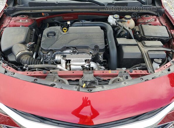 1G1ZG5ST4PF236089 2023 CHEVROLET MALIBU Красный Вид задней части салона