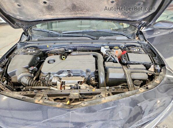 1G1ZG5ST5PF123719 2023 CHEVROLET MALIBU Угольный Вид задней части салона