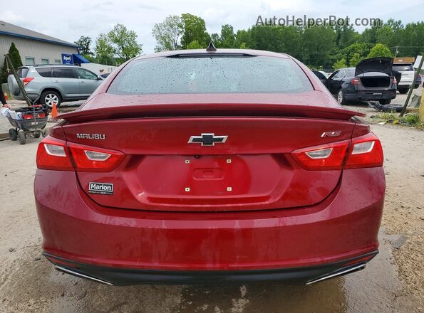 1G1ZG5ST6KF214054 2019 CHEVROLET MALIBU Red Вид ззаду