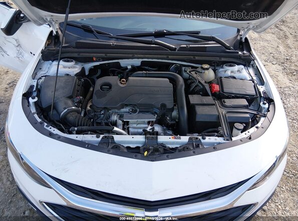 1G1ZG5ST6LF117549 2020 CHEVROLET MALIBU White Rear view