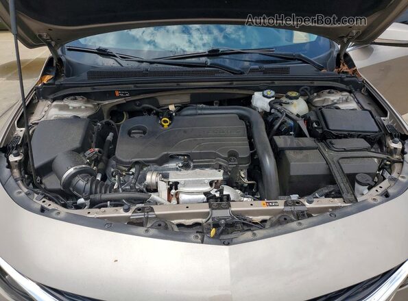 1G1ZG5ST6PF209346 2023 CHEVROLET MALIBU Tan Вид задньої частини салону