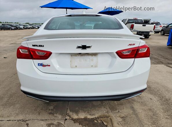 1G1ZG5ST7LF144159 2020 CHEVROLET MALIBU White Rear view