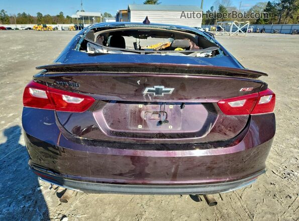 1G1ZG5ST8MF054293 2021 CHEVROLET MALIBU Burgundy Widok z tyłu