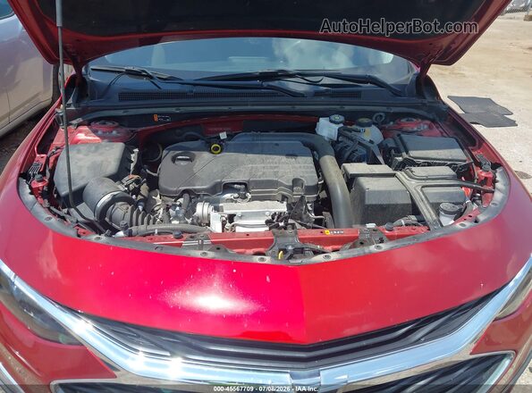 1G1ZG5ST9RF192304 2024 CHEVROLET MALIBU Red Вид ззаду