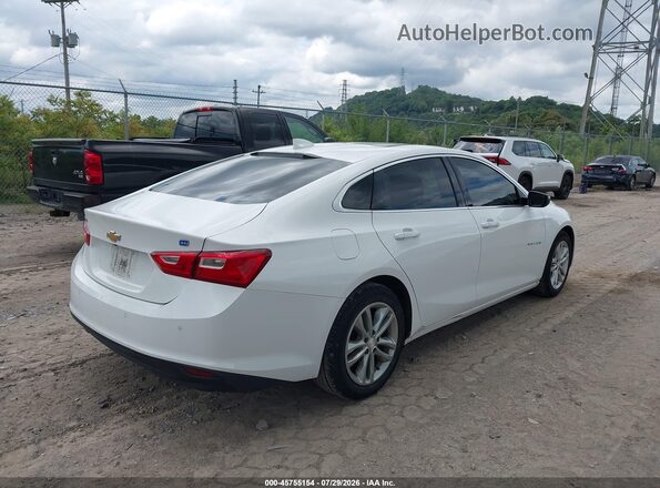 1G1ZJ5SU8GF313380 2016 CHEVROLET MALIBU White Tył prawy
