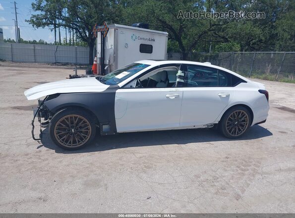 1G6D35R61R0810864 2024 CADILLAC CT5 White 