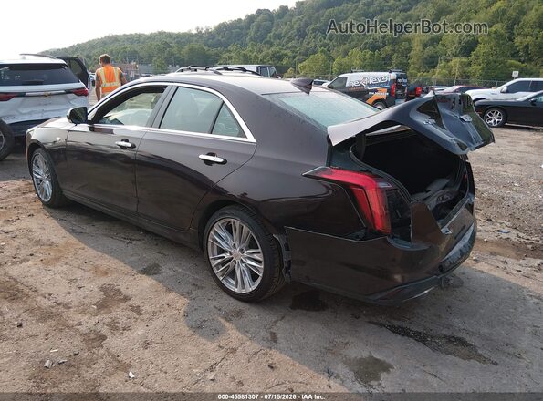 1G6DF5RK1L0140826 2020 CADILLAC CT4 Burgundy Tył lewy