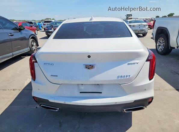 1G6DF5RK6M0113106 2021 CADILLAC CT4 White Rear view