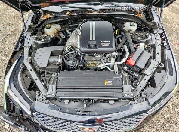 1G6DJ5RK8N0137018 2022 CADILLAC CT4 Черный Вид задней части салона