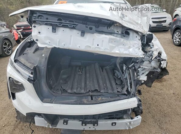 1GC10VEL7RU210105 2024 CHEVROLET SILVERADO White Սալոնի հետևի տեսք