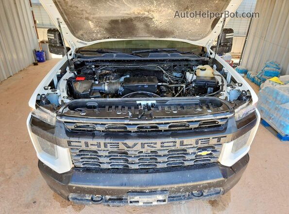 1GC1YLE78PF167590 2023 CHEVROLET SILVERADO White უკანა სალონის ხედი