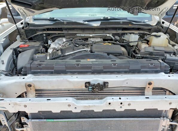 1GC1YNEY0PF225079 2023 CHEVROLET SILVERADO White Սալոնի հետևի տեսք