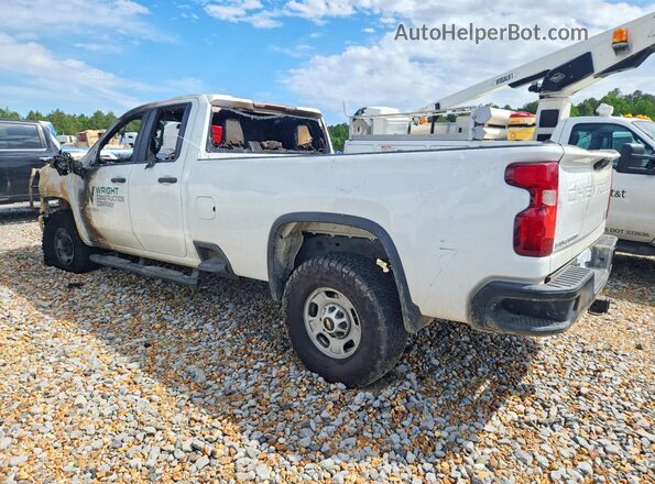 1GC5WLE75RF145170 2024 CHEVROLET SILVERADO Белый Задняя левая четверть