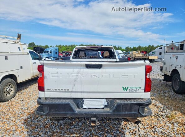 1GC5WLE75RF145170 2024 CHEVROLET SILVERADO Белый Вид сзади