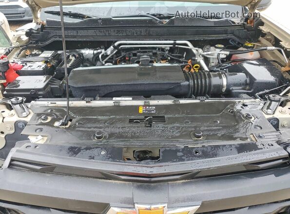1GCGSBEC0P1176722 2023 CHEVROLET COLORADO Tan Вид задньої частини салону