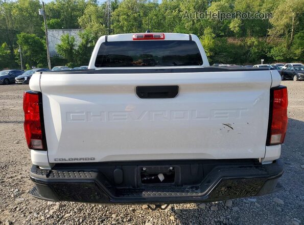 1GCGSBEC0R1134487 2024 CHEVROLET COLORADO White Widok z tyłu