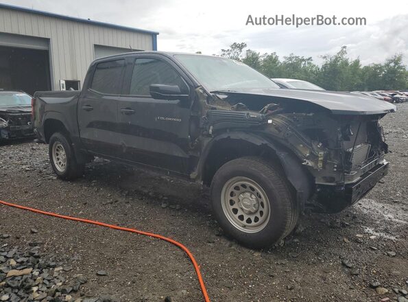 1GCGSBEC3R1299496 2024 CHEVROLET COLORADO Черный Панорамный вид салона 360°