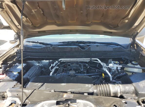 1GCGSBEC7R1226311 2024 CHEVROLET COLORADO Green Սալոնի հետևի տեսք