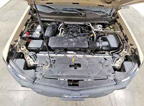 1GCGSBEC8P1171428 2023 CHEVROLET COLORADO Brown უკანა სალონის ხედი