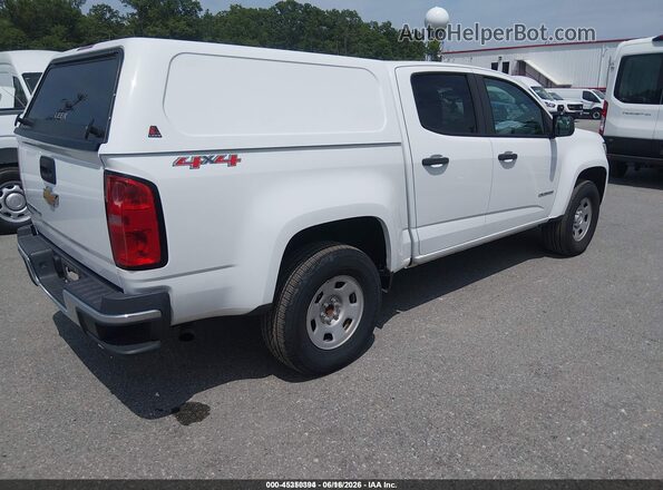 1GCGTBEN3H1242888 2017 CHEVROLET COLORADO  Tył prawy