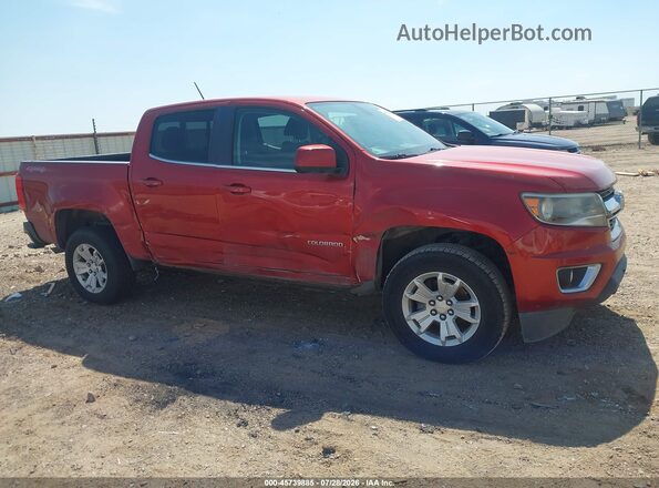 1GCGTCE31G1145384 2016 CHEVROLET COLORADO Red Սալոնի հետևի տեսք