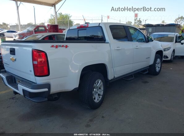 1GCGTCEN5K1148878 2019 CHEVROLET COLORADO White Հետևի աջ