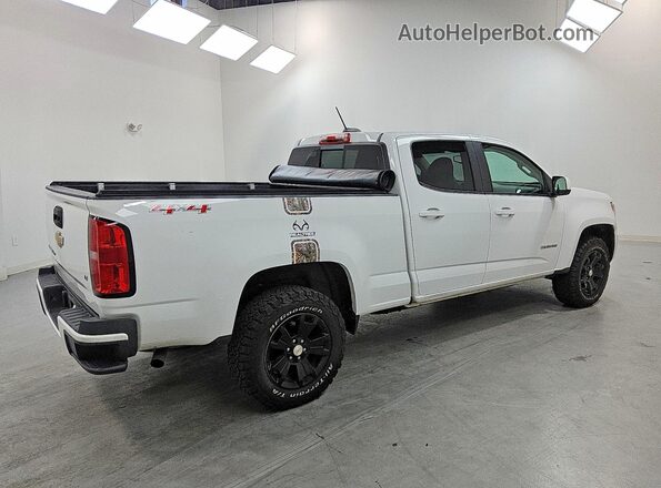 1GCGTCEN5K1207086 2019 CHEVROLET COLORADO White Задня права чверть