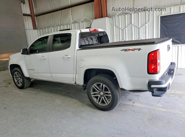1GCGTCEN5N1242411 2022 CHEVROLET COLORADO White Հետևի ձախ