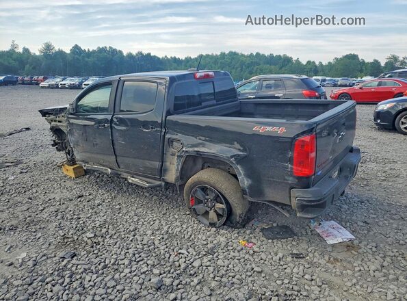 1GCGTCEN8H1329725 2017 CHEVROLET COLORADO Black Tył lewy