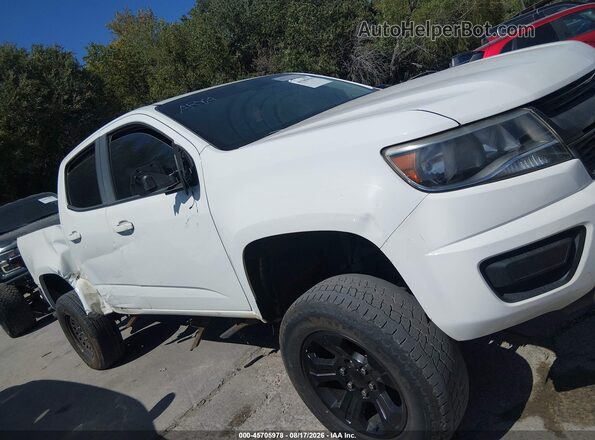 1GCGTCEN9K1117309 2019 CHEVROLET COLORADO White Սալոնի հետևի տեսք