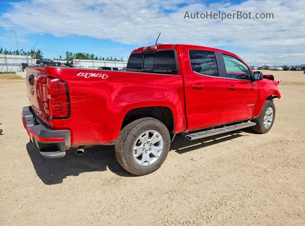1GCGTCENXL1195289 2020 CHEVROLET COLORADO Red Rear right