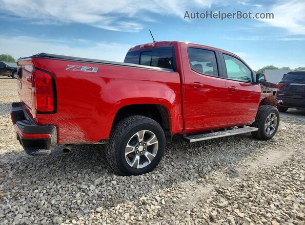 1GCGTDEN4K1134962 2019 CHEVROLET COLORADO Red Հետևի աջ