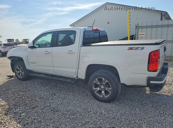 1GCGTDEN5K1164438 2019 CHEVROLET COLORADO White უკანა მარცხენა