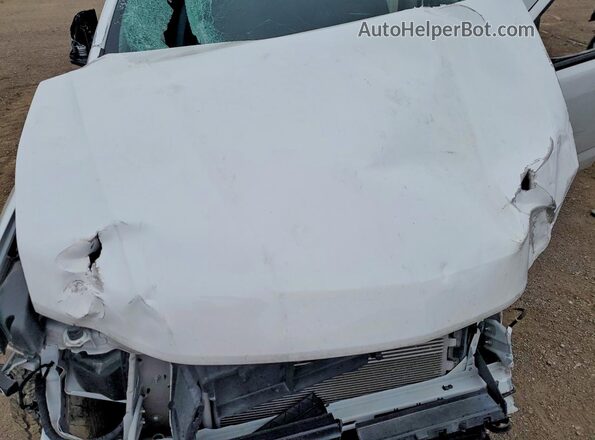 1GCGTDEN9M1166874 2021 CHEVROLET COLORADO White Rear interior view