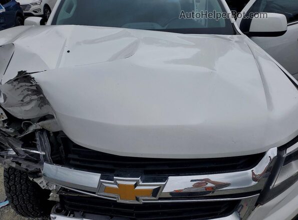 1GCHSCEN1L1172040 2020 CHEVROLET COLORADO White უკანა სალონის ხედი