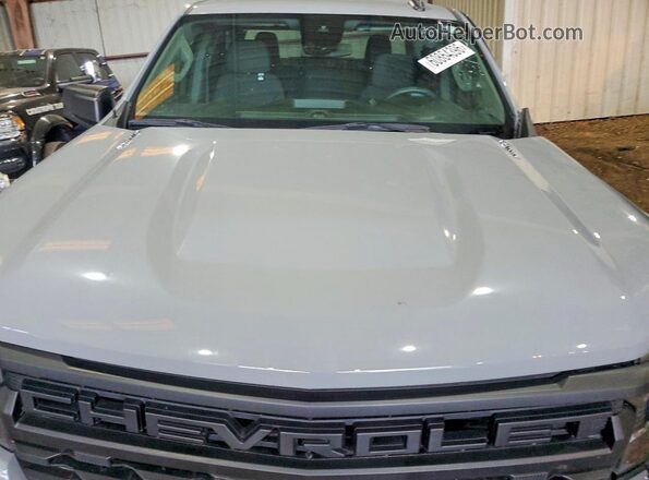 1GCPABEK1SZ121720 2025 CHEVROLET SILVERADO Серый Вид задней части салона