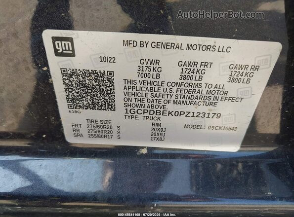 1GCPDBEK0PZ123179 2023 CHEVROLET SILVERADO Black Widok komory silnika