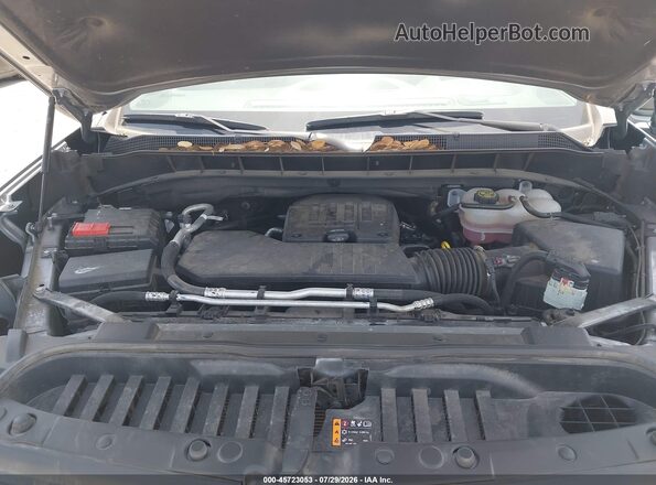 1GCPDBEK5RZ159937 2024 CHEVROLET SILVERADO Gray Вид ззаду