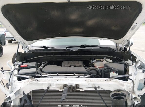 1GCPDDEK3PZ306698 2023 CHEVROLET SILVERADO White Widok z tyłu