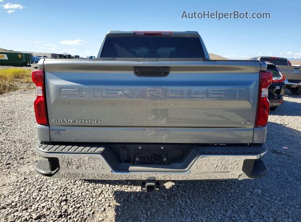 1GCPDDEK6PZ226988 2023 CHEVROLET SILVERADO Gray Widok z tyłu