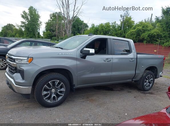 1GCPDKEK3PZ323862 2023 CHEVROLET SILVERADO Серый Панорамный вид салона 360°