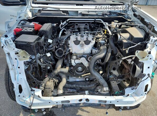 1GCPSBEK2S1162305 2025 CHEVROLET COLORADO Белый Вид задней части салона