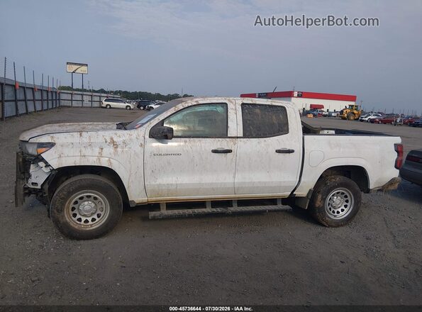 1GCPSBEKXT1129957 2026 CHEVROLET COLORADO White Սալոնի 360 աստիճան տեսք