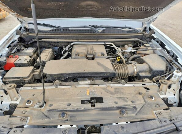 1GCPTBEK9S1137074 2025 CHEVROLET COLORADO White Вид задньої частини салону