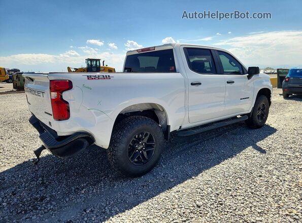 1GCPYCEF0MZ383736 2021 CHEVROLET SILVERADO White Задня права чверть